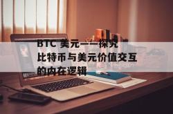 BTC 美元——探究比特币与美元价值交互的内在逻辑