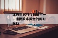 比特币实时行情解析——捕捉数字黄金的即时脉动