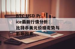 BTC USD Price最新行情分析：比特币美元价格走势与影响因素