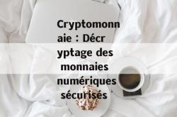 Cryptomonnaie : Décryptage des monnaies numériques sécurisés
