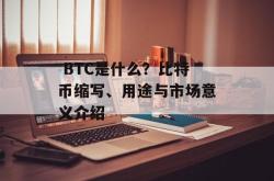  BTC是什么？比特币缩写、用途与市场意义介绍