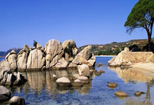 虚拟币行情全解析——洞悉数字资产市场的实时动态